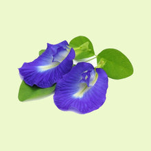 Cargar imagen en el visor de la galería, Shankapushpi