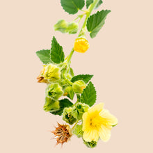 Cargar imagen en el visor de la galería, Bala