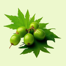 Cargar imagen en el visor de la galería, Neem