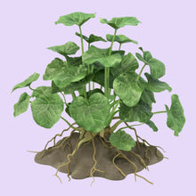 Cargar imagen en el visor de la galería, Vidari kanda