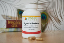 Cargar imagen en el visor de la galería, Digestión Perfecta