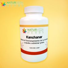 Cargar imagen en el visor de la galería, Kanchanar guggulu