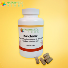 Cargar imagen en el visor de la galería, Kanchanar guggulu